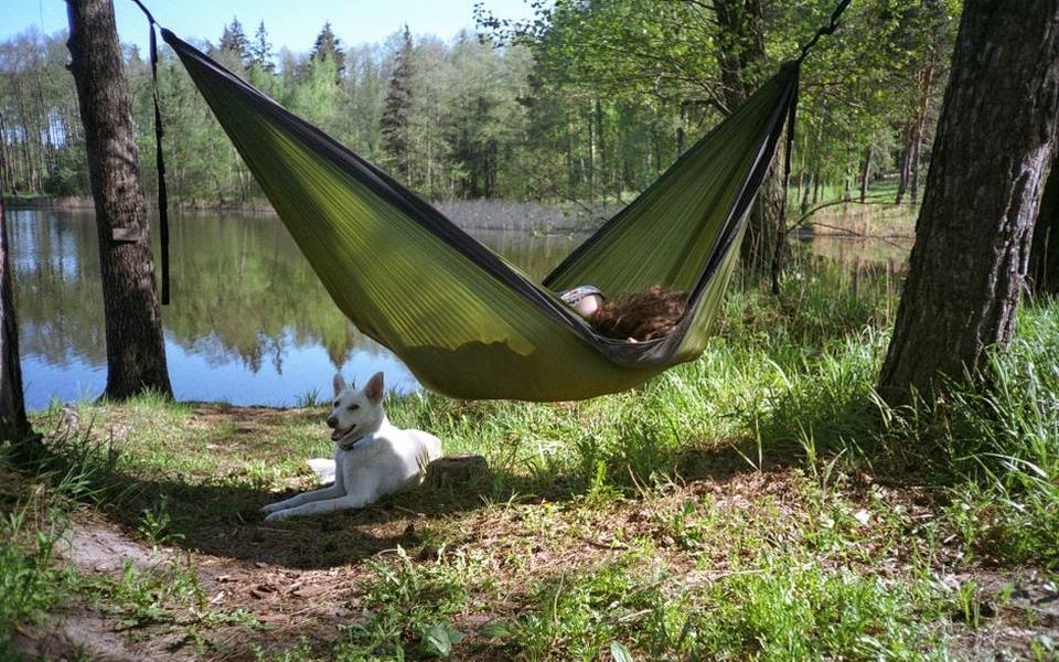 How Rear Seat Hammocks Keep Dogs and Footwells Safe