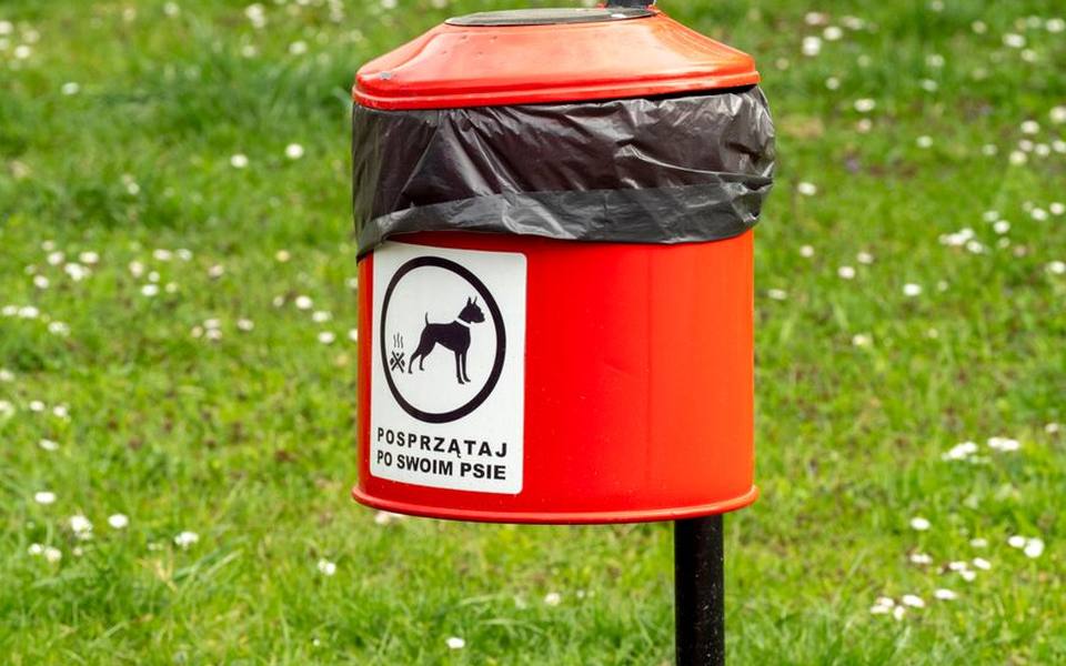 Managing Waste at Communal Dog Parks