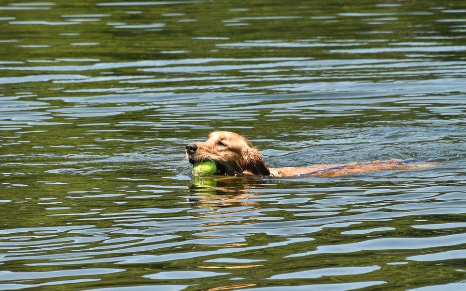 Managing Water Exposure, Bathing, and Topical Durability