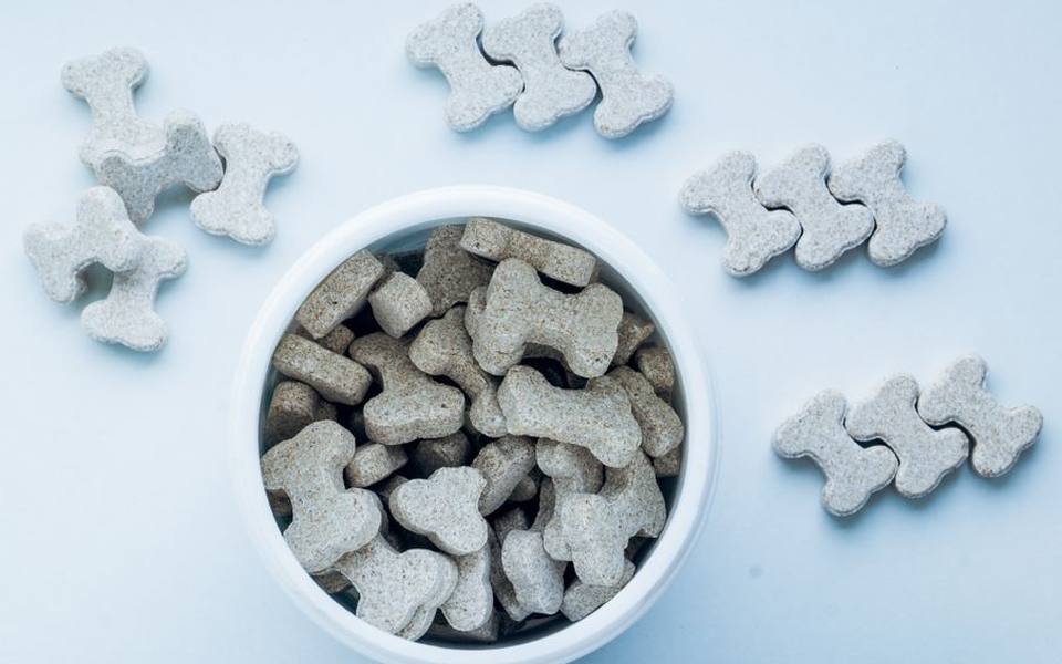Oral chewable medications and how they work