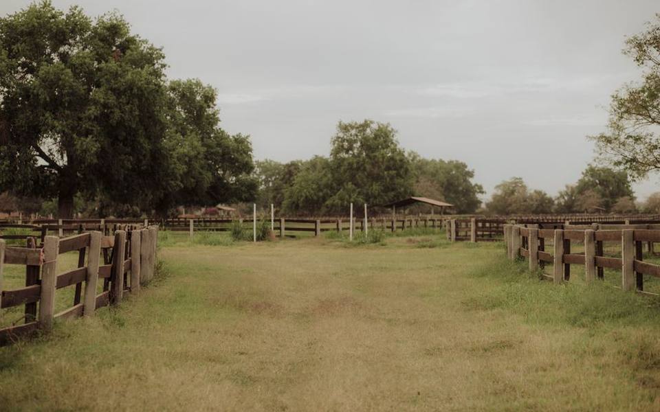 Private Yard Rentals and Hourly Land Bookings