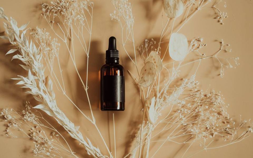 Natural Flea Repellents and Herbal Alternatives for Adult Dogs