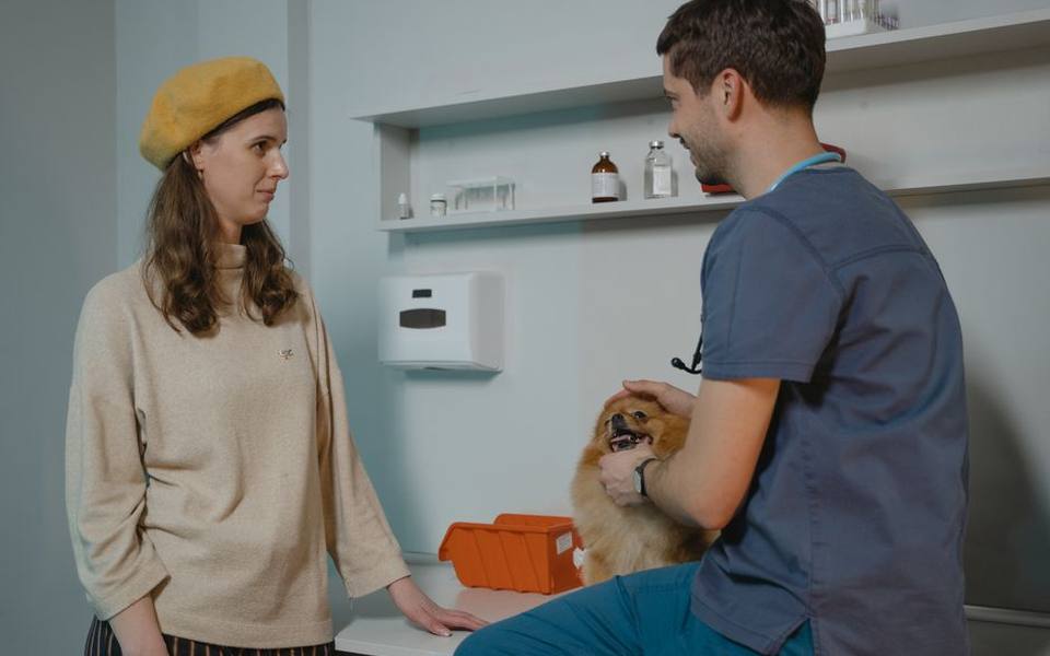 Chewable Parasite Tablets and Oral Preventatives