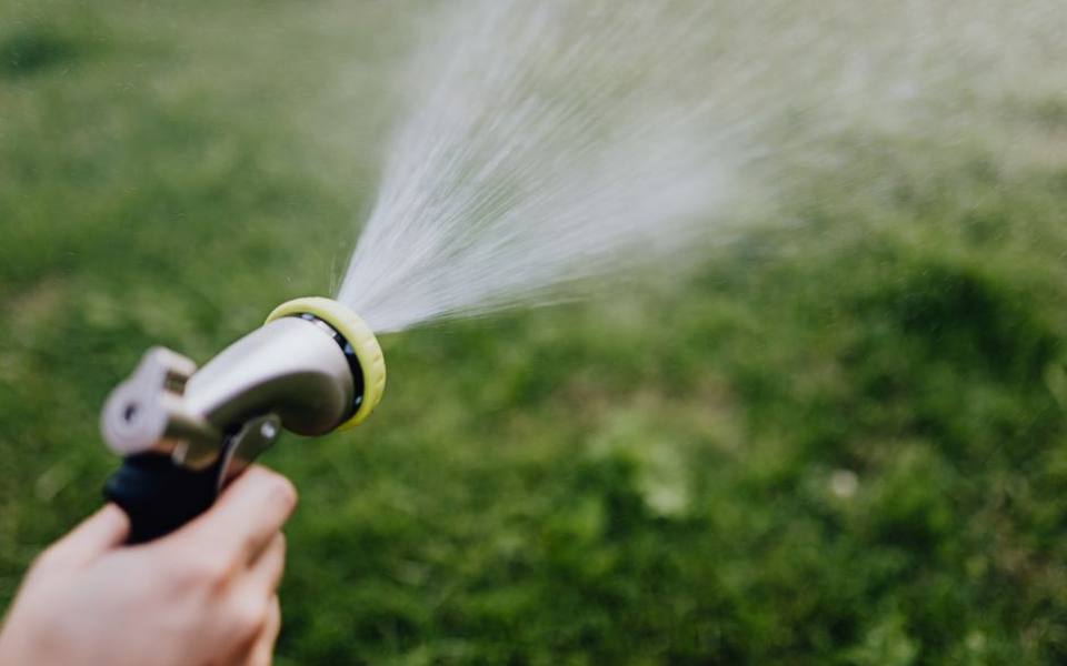 Selecting Pet-Friendly Flea and Tick Yard Sprays