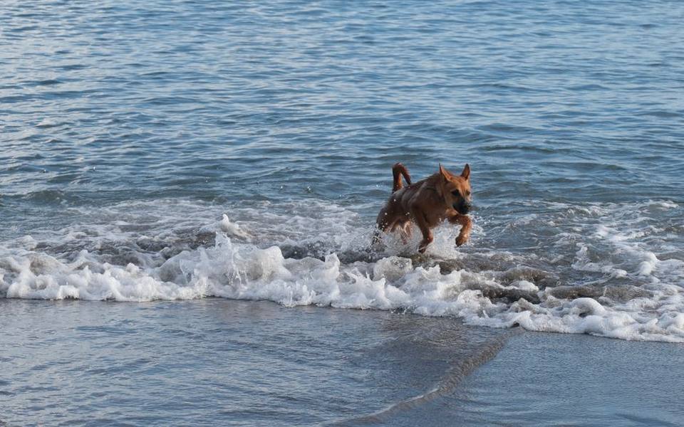 Florida Gulf Coast Gems: Pensacola and Surrounding Shores