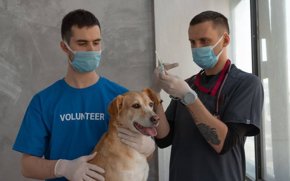 Why Names Like Crate Cough and Canal Cough Persist