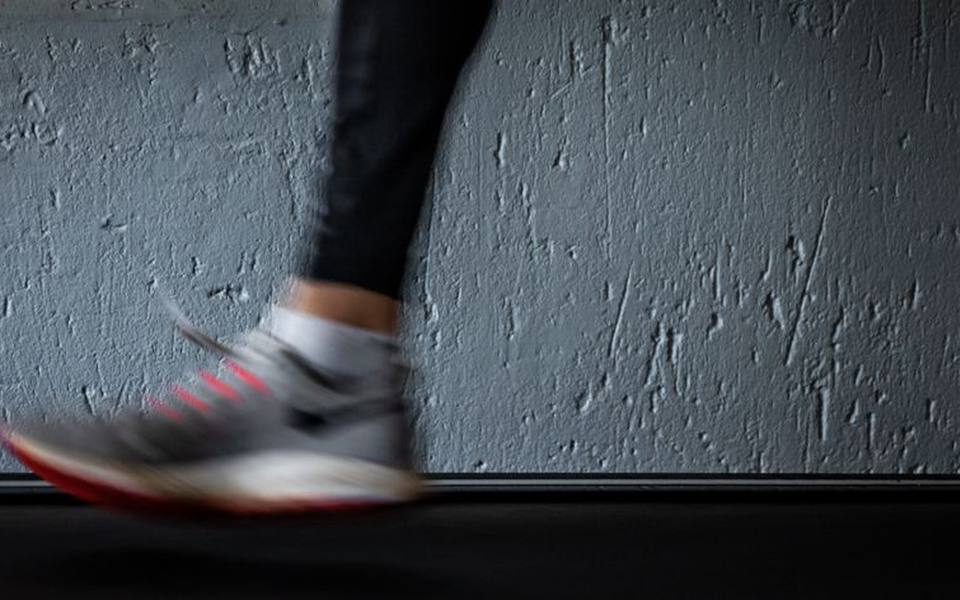 Indoor Exercise Machines and Dog Treadmills