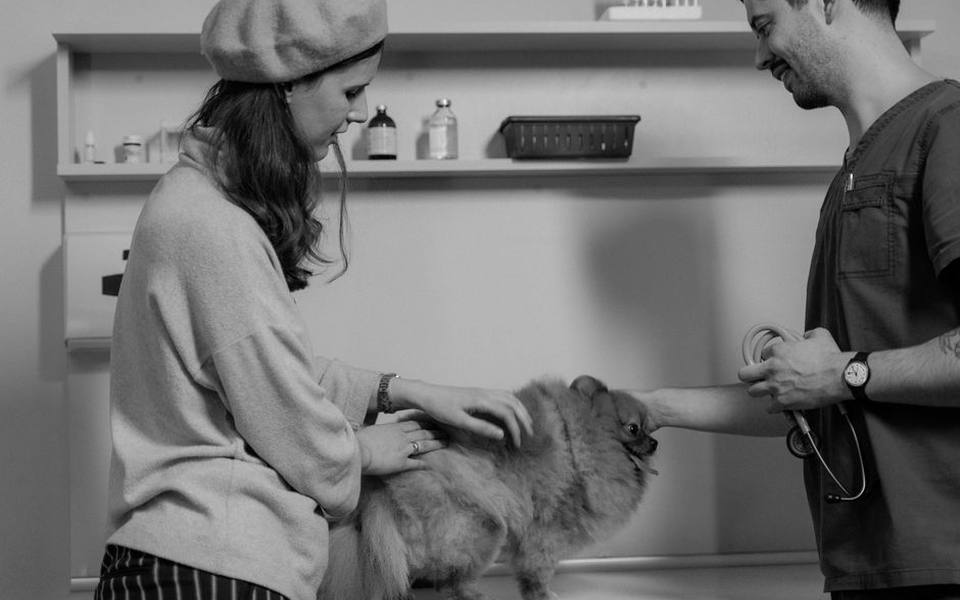 Human susceptibility to kennel cough pathogens