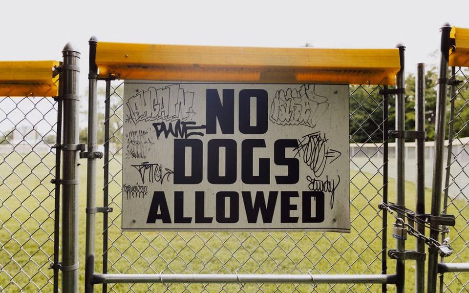 Enclosed Playgrounds and Perimeter Security Standards