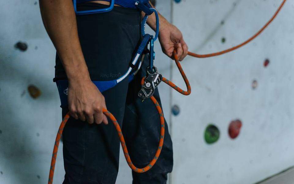 Selecting Heavy Duty Leashes and Hardware