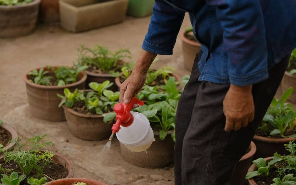 Sanitation Schedules, Odor Control, and Long-Term Maintenance