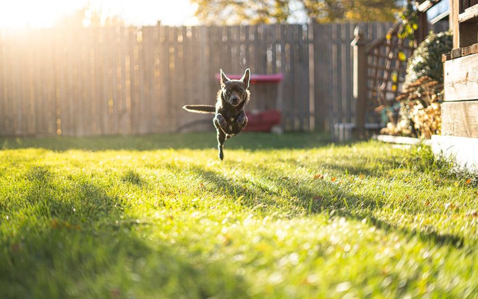 Selecting the Most Durable Ground Materials for Your Run